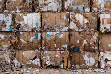 Sostenibilidad empresarial: ¿cómo comprobarla?