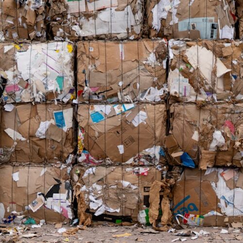 Sostenibilidad empresarial: ¿cómo comprobarla?