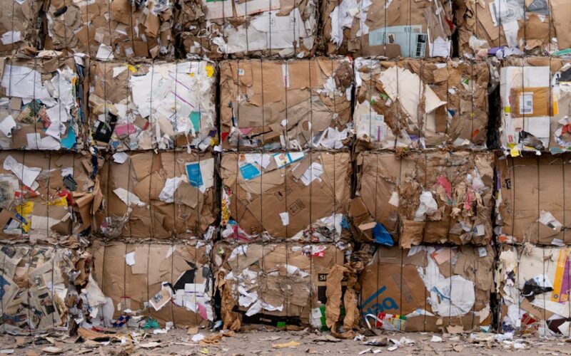 Sostenibilidad empresarial: ¿cómo comprobarla?